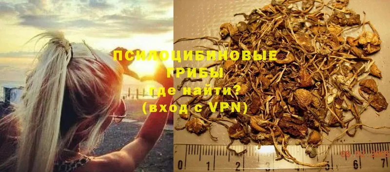 где купить   МЕГА как войти  Псилоцибиновые грибы Psilocybine cubensis  Котельниково 